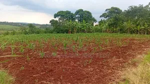 10 Acres Land with River Nile Views, Jinja City