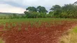10 Acres Land with River Nile Views, Jinja City - 2