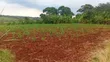 10 Acres Land with River Nile Views, Jinja City - 3