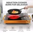 Silver Crest Single Burner Induction Cooker - 3