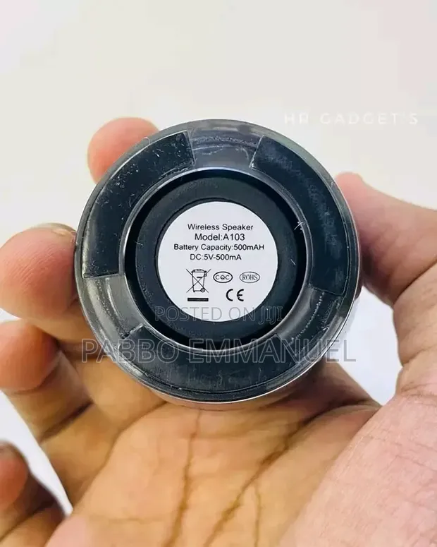 Ewa A103 Wireless Bluetooth Speaker - 1