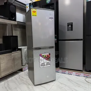 Roch 260L Double Door Bottom Freezer Refrigerator - Silver