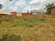 Plot for Sale in Matugga Kavule Town - 5