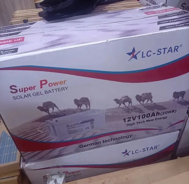 LC Star 100Ah 12V Deep Cycle Battery - 1