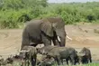 4-Day Queen Elizabeth Classic Safari Tour - 2