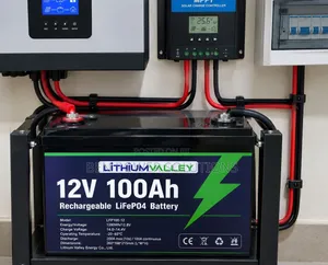 12V 100Ah Lithium Valley LiFePO4 Battery