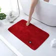 Super Absorbent Floor Mat - 1