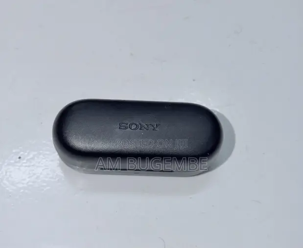 Sony C510 Earbuds - 1