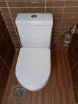 Blossom Toilet and Hand Wash Basin Combo - 1