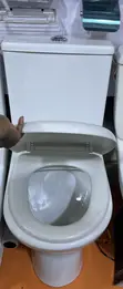 Blossom Toilet and Hand Wash Basin Combo - 3