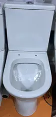 Blossom Toilet and Hand Wash Basin Combo - 5