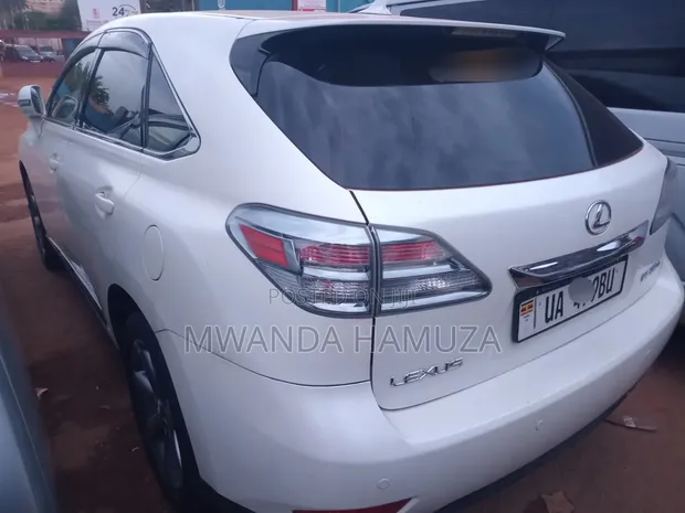Lexus RX 2014 White - 1