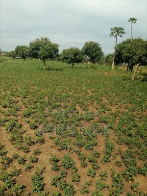 Plot for Sale in Bugiri Town, East Division