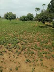 Plot for Sale in Bugiri Town, East Division - 3