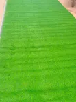 Artificial Turf Grass Carpets - 1