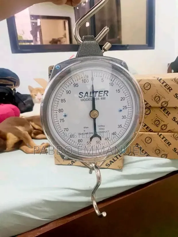 200kg Salter Hanging Weighing Scale - 1