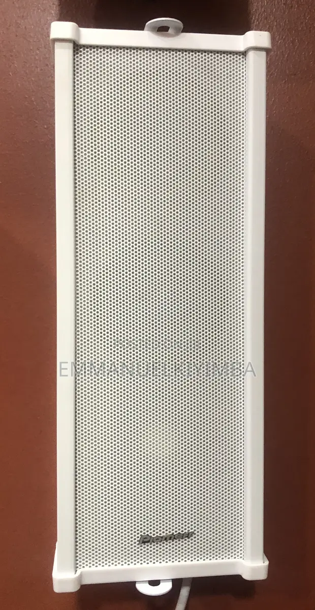 Pioneer 2.0 Channel Column Speakers - 1
