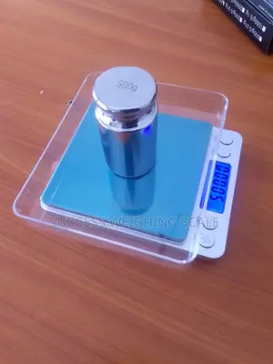 Portable Digital Weighing Scale 500g/0.01g