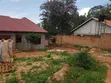 35ft x 50ft Plot for Sale in Mpelerwe Kitezi - 2