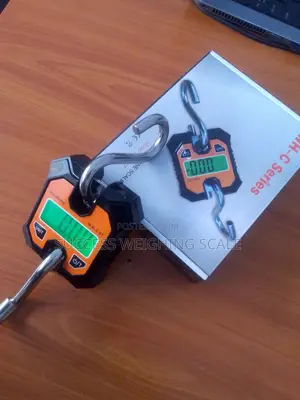 Digital Mini Crane Weighing Scale 200kg