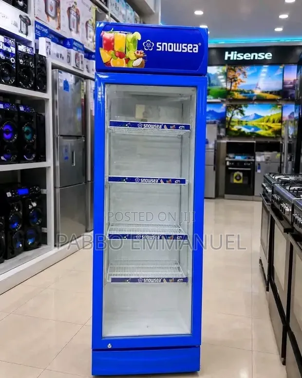 Snowsea 280L Showcase Refrigerator (Model LC28) - 1
