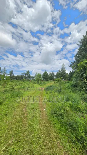 1240 Acres Farmland for Sale in Hoima