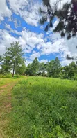 1240 Acres Farmland for Sale in Hoima - 2