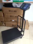 Electronic Weighing Scale Platform 400kg - 2