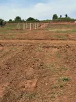 50x100ft Plot for Sale in Gayaza Busukuma - UGX 43M - 1