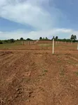 50x100ft Plot for Sale in Gayaza Busukuma - UGX 43M - 3