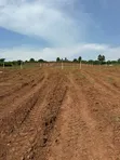 50x100ft Plot for Sale in Gayaza Busukuma - UGX 43M - 5