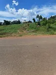 2.8 Acres Mailo Land in Nkokonjeru Town Council - 1