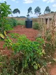2.8 Acres Mailo Land in Nkokonjeru Town Council - 2