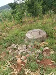 2.8 Acres Mailo Land in Nkokonjeru Town Council - 5