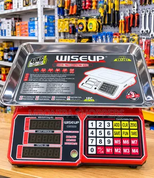 40Kg Stainless Steel Digital Price Computing Scale