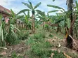 23 Decimals Land for Sale, Masoli Gayaza Road - 4