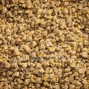 Blue Feeds - Starter Feed for Poultry