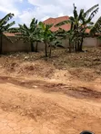 50x100ft Plot for Sale in Gayaza Nakwero - UGX 60M - 1