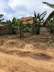 50x100ft Plot for Sale in Gayaza Nakwero - UGX 60M - 2