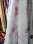 Curtains & Drapes - Home Interiors - 3