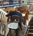 Yard Plastic Chairs - 2