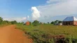80x100 Ft Main Road Plot for Sale, Bunyiro TC, Iganga - 3