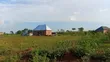 80x100 Ft Main Road Plot for Sale, Bunyiro TC, Iganga - 5