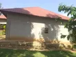 4 Hectares Land with 4-Bedroom House in Kamwenge - 5