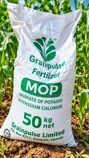 Grain Pulse MOP Fertilizer for Maize and Coffee