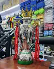 Premier League Trophy - Original Material - 2