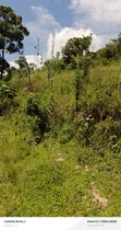 1.5 Acres Titled Land for Sale in Booma, Fort Portal City - 1