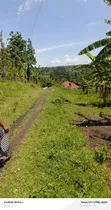 1.5 Acres Titled Land for Sale in Booma, Fort Portal City - 3