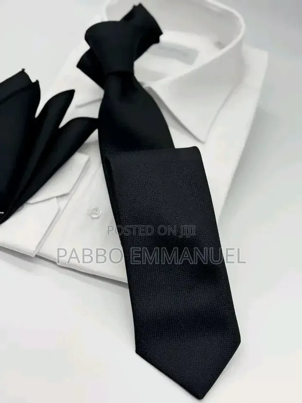 Fashionable Men's Neckties - 1