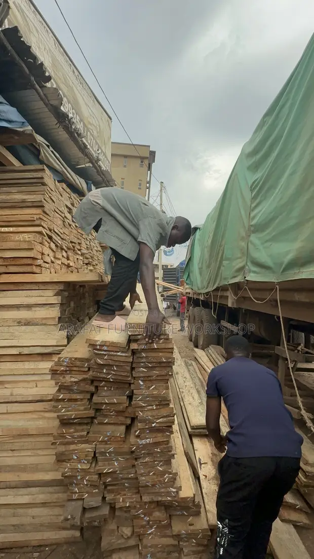 Pine and Eucalyptus Timber Building Supplier - 1
